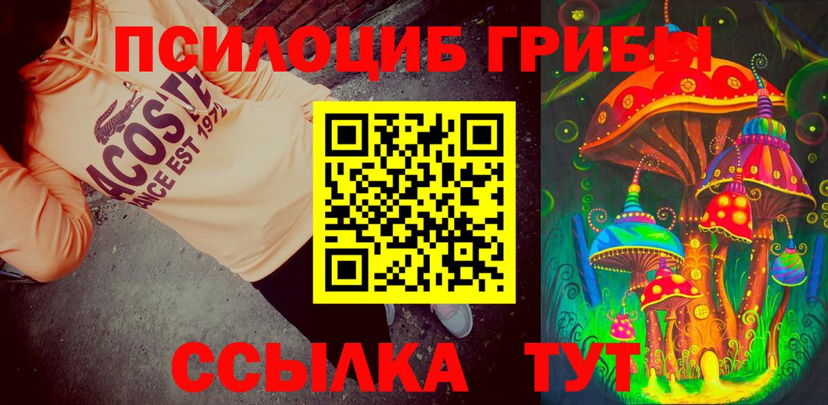 Сергиев Посад  Псилоцибиновые грибы ЛСД  купить наркотик  Вход с VPN 